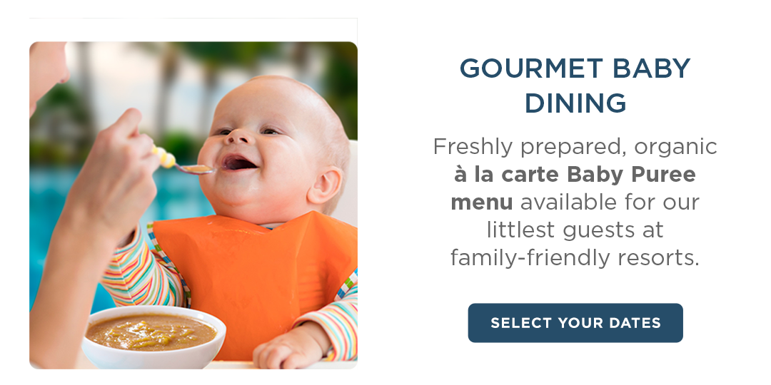 Gourmet baby dining