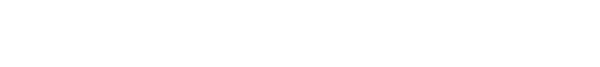 THE PALACE COMPANY LOGO