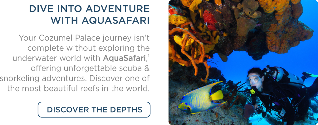 Dive into adventure with Aquasafari